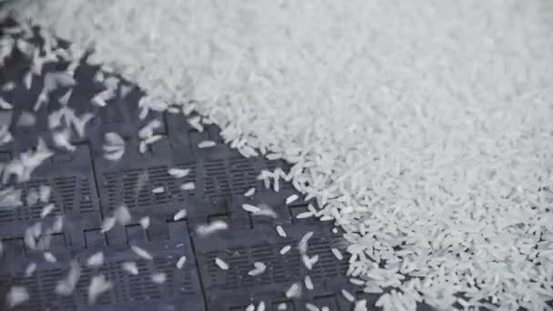 Movimiento lento de la caída de arroz congelado en el transportador - Imágenes, Vídeo