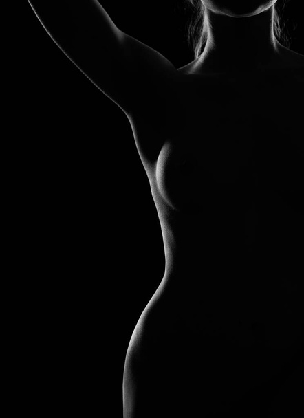 A black-and-white photograph of a graceful Nude female body in a contoured light. Outline of an ideal female figure - Foto, Imagen