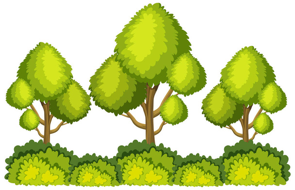 Duże zielone drzewa na białym tle ilustracja - Wektor, obraz