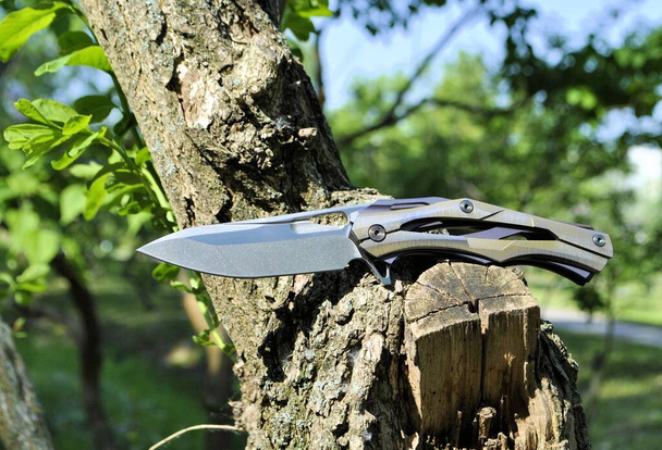 Nature still life folding knife stainless steel blade gray aluminum handle green leaves dry stump background - Photo, Image