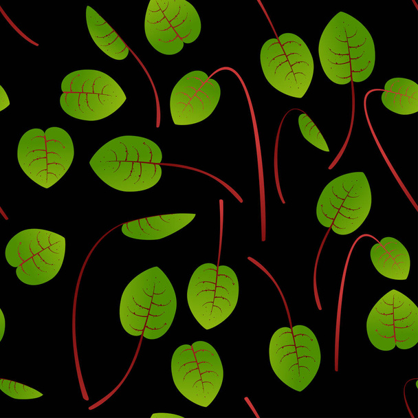 Μικροπράσινα Σορέλ. Σπέρνοντας σπόρους ενός φυτού. Απρόσκοπτο μοτίβο. Συμπλήρωμα βιταμίνης, vegan τροφίμων. - Διάνυσμα, εικόνα