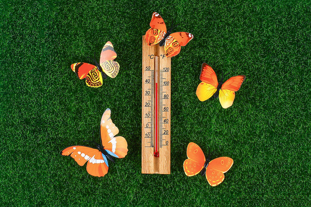Thermometer displaying high 40 degree hot temperatures in sun summer day. temperature 40. Summer temperature. Thermometer on the grass with butterflies - 写真・画像
