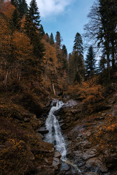 River deep in mountain forest. Nature composition. Mendelich River in the North Caucasus, Rosa Khutor, Russia, Sochi. beautiful cascading waterfall in the autumn forest, fog and rain. - Фото, зображення