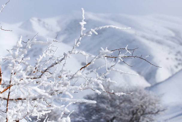snowy mountains of Tien Shan mountains in winter . - Fotoğraf, Görsel