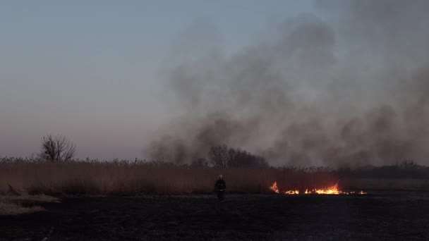 the coastal zone of marsh creek, strong smoke from the fire of liana overgrowth. Spring fires of dry reeds dangerously approach houses of the village by river Cleaning fields of reeds, dry grass. Natural disaster. - Footage, Video