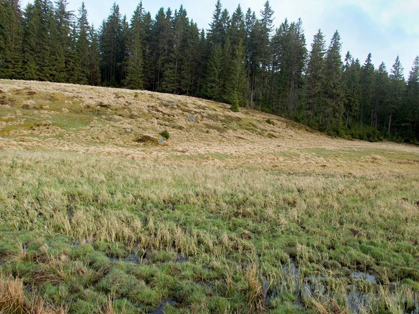 φυσικό τοπίο σε chech βουνά μεταλλεύματος στη δυτική Βοημία - Φωτογραφία, εικόνα