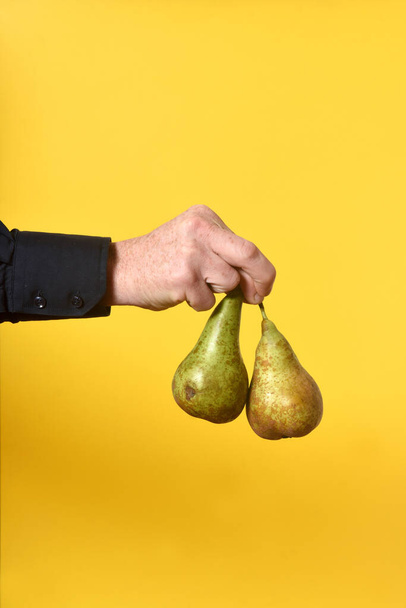 hand holding a two pears on yellow background - 写真・画像