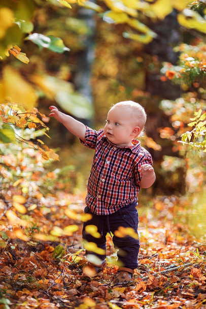 baby playing with autumn leaves - Photo, Image