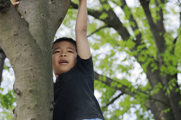 Japanilainen poika kiipeää puuhun (viides luokka ala-asteella
) - Valokuva, kuva