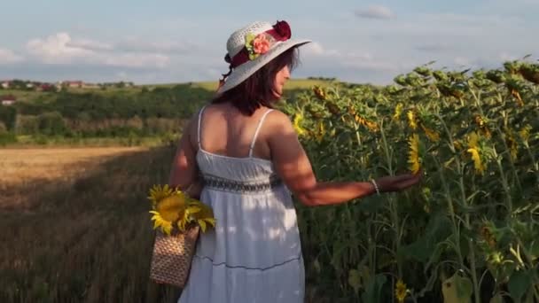 Une femme avec un chapeau et une robe blanche marche sur un champ avec des tournesols - Séquence, vidéo