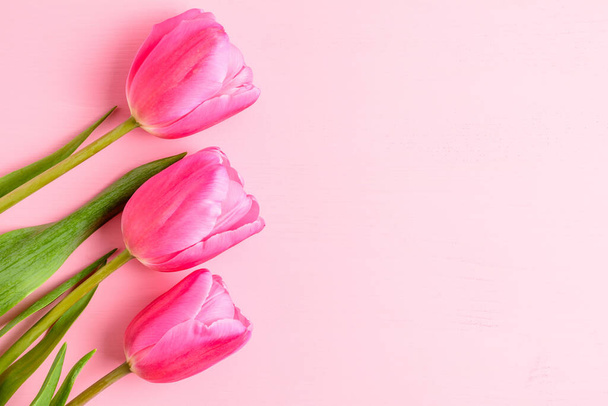 Draufsicht auf drei kleine lebhafte rosa Tulpenblüten und grüne Blätter auf einem rosa bemalten Holztisch, schöner floraler Hintergrund im Innenraum mit kleinem Fokus fotografiert - Foto, Bild