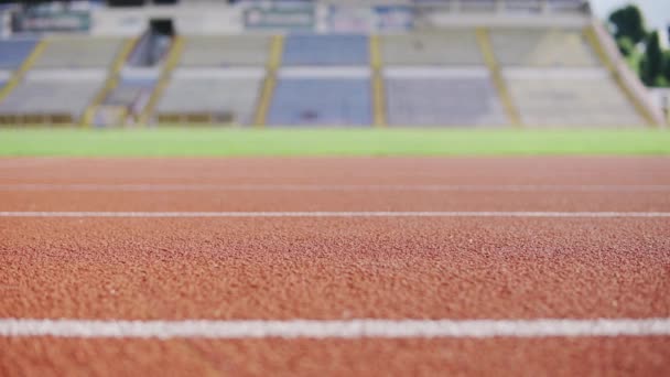 Спортсмен біжить на стадіоні влітку природа на відкритому повітрі крупним планом
 - Кадри, відео
