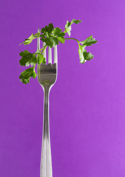 1 sprig of fresh green parsley on a fork on a purple background, greens - 写真・画像