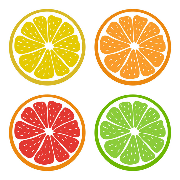Set of juicy citrus icons. Stock vector illustration. Lemon, orange, grapefruit, lime. Bright colorful Isolated elements on white background. For creative designs, logos, stickers, menus, prints, etc. - Vector, Image