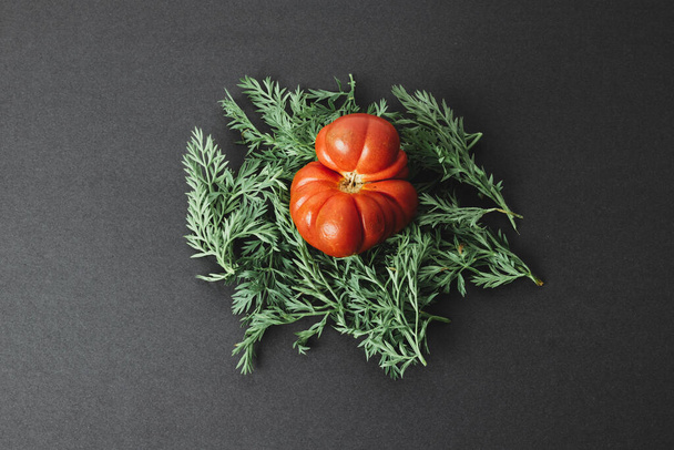 Органические помидоры с травами вокруг
 - Фото, изображение