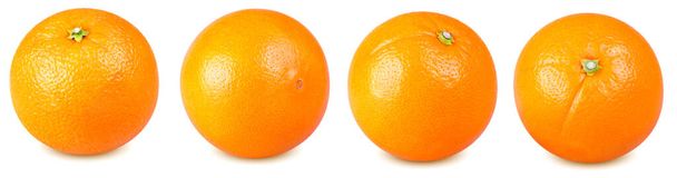 Frutos de naranja aislados. Colección de naranjas enteras aisladas sobre fondo blanco con ruta de recorte
 - Foto, imagen