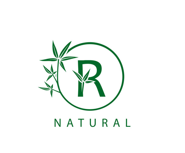 Λογότυπο πράσινου φύλλου R Letter. Αρχική R με κύκλο πράσινο μπαμπού - Διάνυσμα, εικόνα