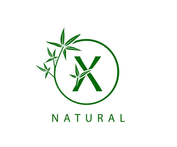 Logo Zielonego Liścia X. Początkowy X z kręgu zielony bambus - Wektor, obraz
