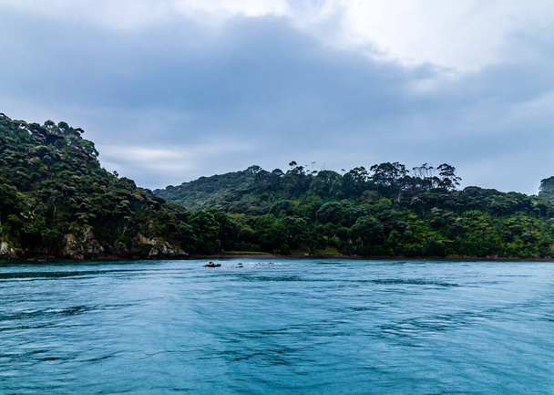 Views of the Islands from a charter boat. Bay of Islands, New Zeland - Photo, Image