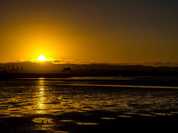 Закат над пляжем. Пойнт-Шевалье-Бич, Окланд, Новая Зеландия
 - Фото, изображение