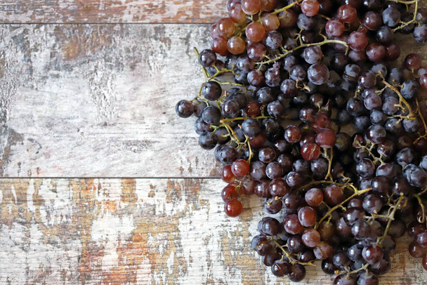 Fresh juicy grapes. Ripe grapes. Harvest grapes. - Photo, Image