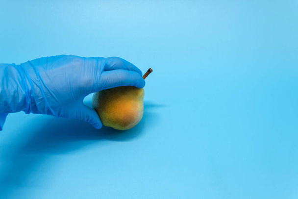On a blue background is a small fresh red pear. A man touches a fruit in a blue medical disposable glove - Photo, Image