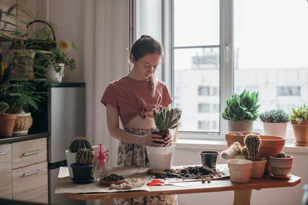 Young woman transplant cacti at home. Beautiful girl at work with house plants in the apartment. Spring potted flower care - Фото, зображення