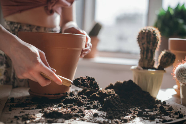 Young woman transplant cacti at home. Close-up of a hand. Beautiful girl at work with house plants in the apartment. Spring potted flower care - Photo, Image
