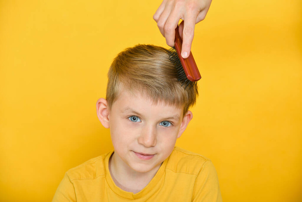 Woman combing a boy with a small comb, little model boy in the studio on a yellow background. - Foto, Imagem