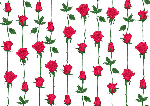 Red roses seamless pattern, background. - Vector, Imagen