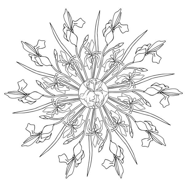 vector mandala with irises drawn by hand. for meditative coloring and design. - Vektor, kép