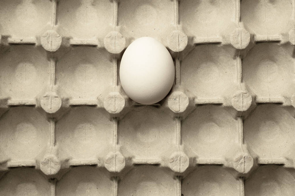 White egg in carton box background. food ingredient. protein nutrition. healthy breakfast. poultry egg - Foto, imagen