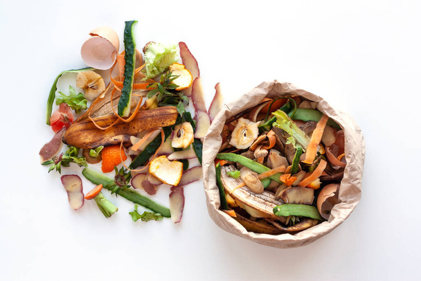 紙袋の中の有機食品廃棄物 - 写真・画像