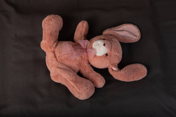 klein konijn speelgoed op zwarte achtergrond - Foto, afbeelding