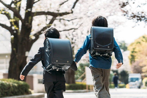 Japán felsős általános iskolások és elsősök fogják egymás kezét egy cseresznyevirág fa alatt az iskolában. - Fotó, kép