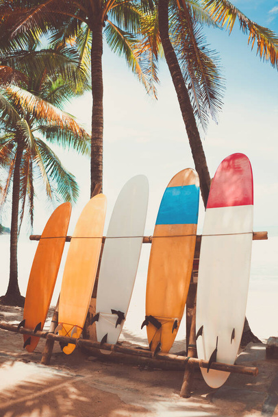 ビーチの背景に青空とサーフボードとヤシの木。旅行アドベンチャースポーツと夏休みのコンセプト。ヴィンテージトーンフィルターエフェクトカラースタイル. - 写真・画像