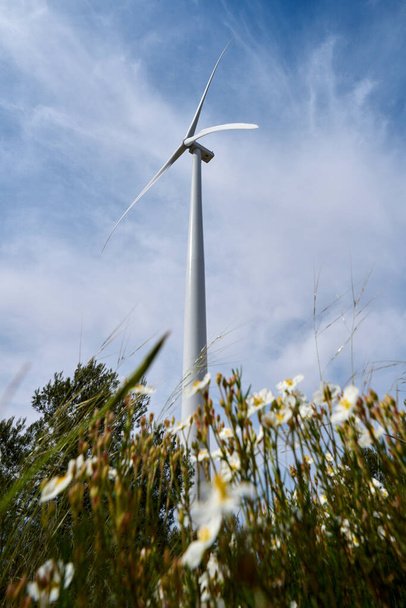 Schönes Bild mit Blumen auf dem Feld mit ökologischen Windrädern zur Stromerzeugung in einer natürlichen Umgebung - Foto, Bild