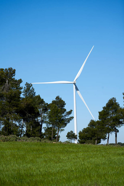 Красивый образ с деревьями с экологичными ветряными мельницами для выработки электроэнергии в естественных условиях
 - Фото, изображение
