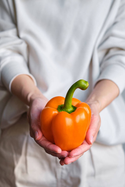The girl holds colored bell pepper in her hands. Ripe fresh big sweet pepper. Healthy food, organic vegetables. Natural vitamins, raw ingredient for eating. Handpicked bio capsicum - Фото, изображение