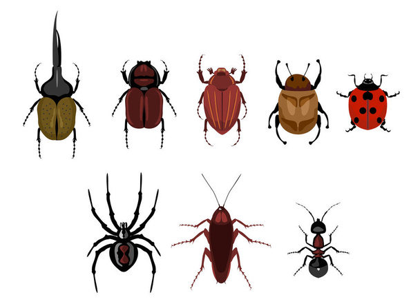 Conjunto de vetores de insetos de desenhos animados bonitos. Conjunto de insetos rastejantes formiga, aranha, besouro, barata, joaninha. Besouros diferentes em um fundo isolado
. - Vetor, Imagem