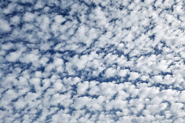 nuages, formation d'altocumulus, altocumulus perlucidus
 - Photo, image