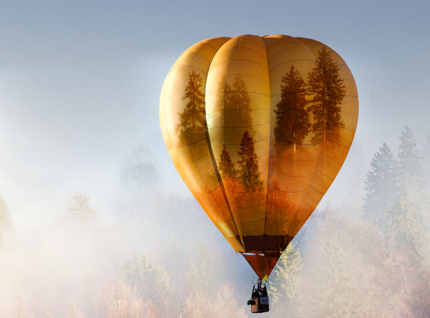 熱気球と霧の森の自由と自然概念の二重暴露 - 写真・画像