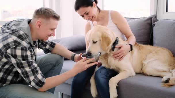 Lovely couple giving water to dog - Footage, Video