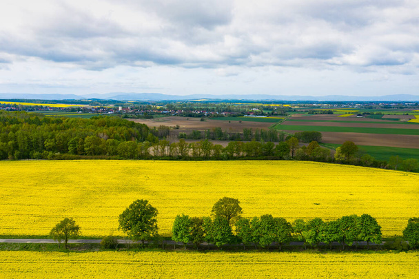 Вид зверху на повітря, квітуче жовте ріпакове поле. Красиві відкриті сільські пейзажі з видом на дрон. Багато квітучих рослин. Весняний фон теми
. - Фото, зображення