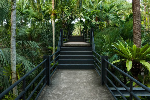 gyönyörű kerti folyosó - természetes megnyitott corridor botanikus kertben - Fotó, kép
