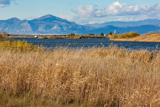 Dry reed, lake Vistonida, Porto Lagos, Greece - Photo, Image