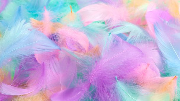 Colorful feather on mint background, top view.  - Foto, Bild