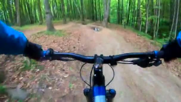 Amatőr bicikliző a tavaszi parkban - Felvétel, videó