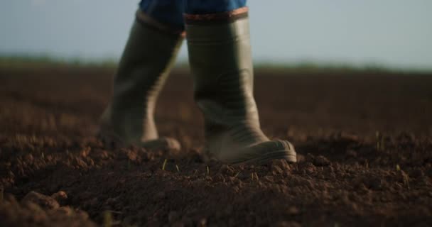 Un anziano agricoltore maschio con un cappello sta camminando attraverso un campo appena piantato. Guarda la terra fresca. Al rallentatore camminare a terra in stivali e guardando in lontananza
. - Filmati, video