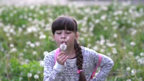 Az én nyári álom.Kis iskolás lány játszik pitypangok zöld mezőn.Lassú mozgás. - Felvétel, videó